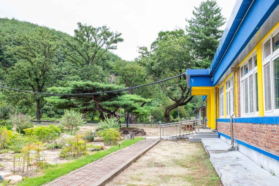 반려동물과 함께하는 안동 코스
