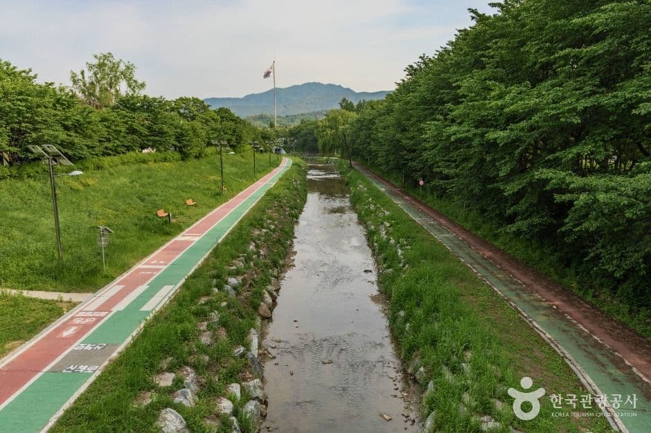 반려동물과 함께하는 서울 코스