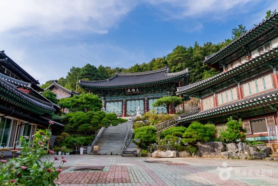 가족과 가기 좋은 세종 코스