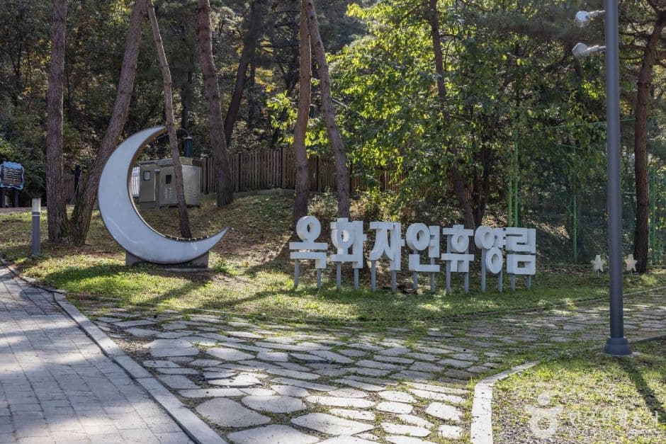 반려동물과 함께하는 청주 코스