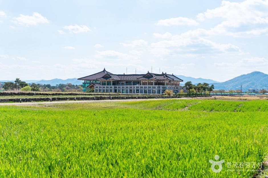 반려동물과 함께하는 경주 코스
