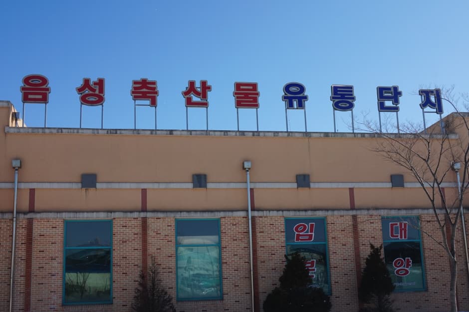 충북 쇼핑·소품 코스